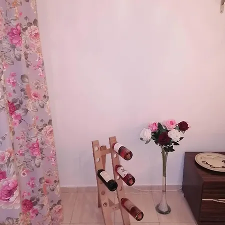 διαμερισμα με κηπο στο κεντρο