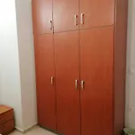 公寓 διαμερισμα με κηπο στο κεντρο *